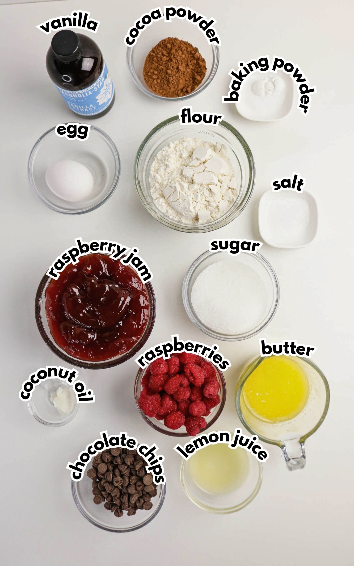 A flat lay of baking ingredients in bowls: vanilla, cocoa powder, baking powder, flour, salt, sugar, raspberry jam, raspberries, coconut oil, chocolate chips, lemon juice, butter, and an egg.