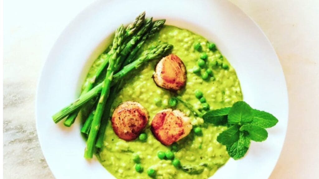 A white plate with green pea risotto, three seared scallops, asparagus spears, green peas, and a sprig of mint.