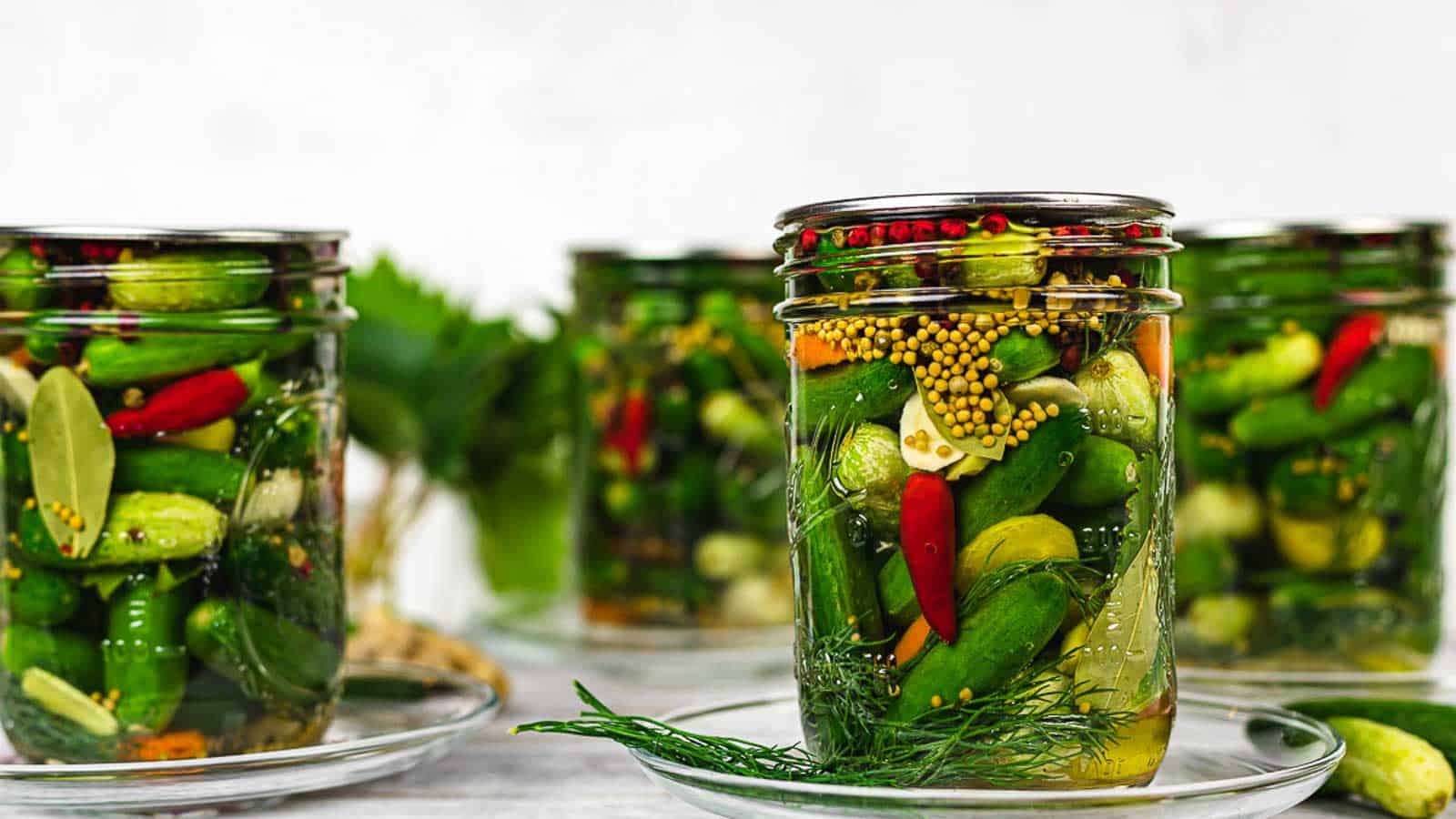 Glass jars filled with pickles, red chili peppers, garlic, mustard seeds, and herbs sit on clear plates with fresh dill in the foreground.