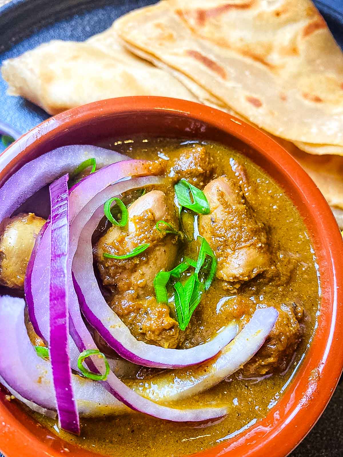 A bowl of chicken curry garnished with sliced red onions and green onions, served with flatbread on the side.
