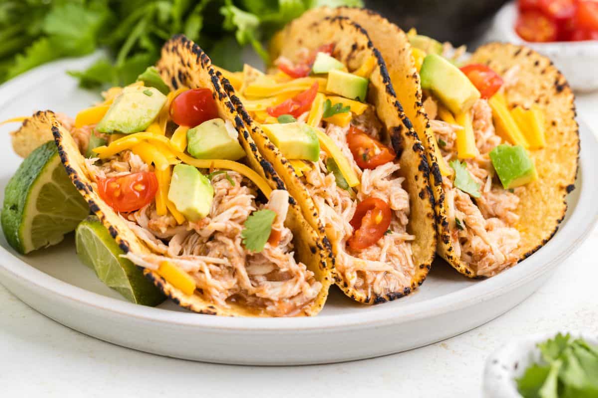Three corn tortillas filled with shredded chicken, shredded cheese, diced avocado, and chopped tomatoes, served with lime wedges on a white plate.