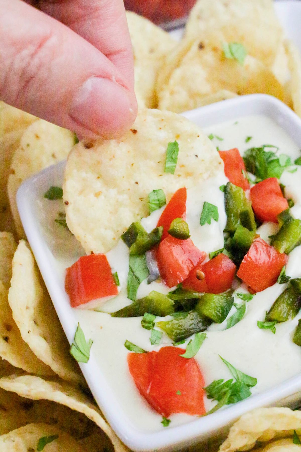 A hand dips a tortilla chip into a bowl of white cheese dip topped with chopped tomatoes, green peppers, and cilantro, surrounded by more chips.