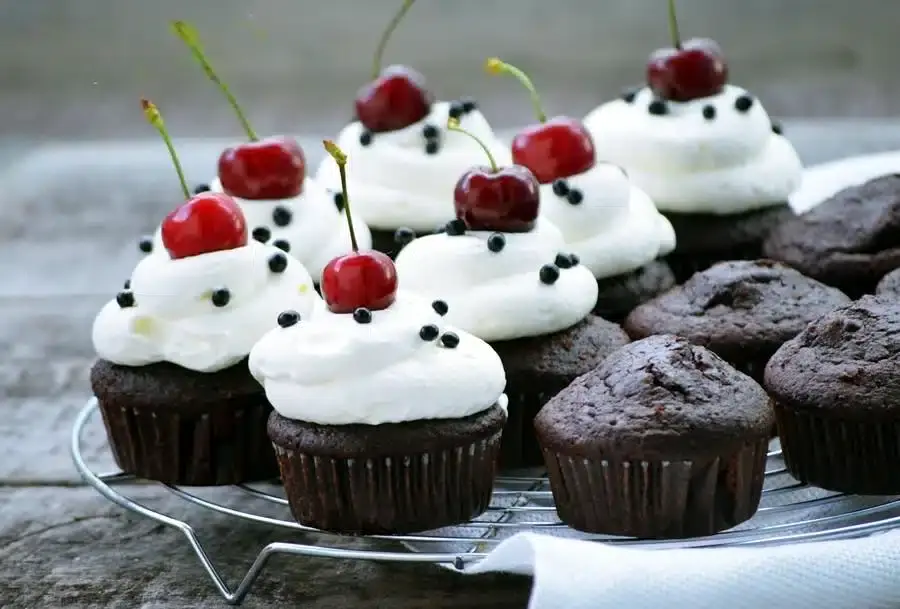 Chocolate cupcakes topped with whipped cream, cherries, and small chocolate decorations, arranged on a cooling rack next to plain chocolate cupcakes.