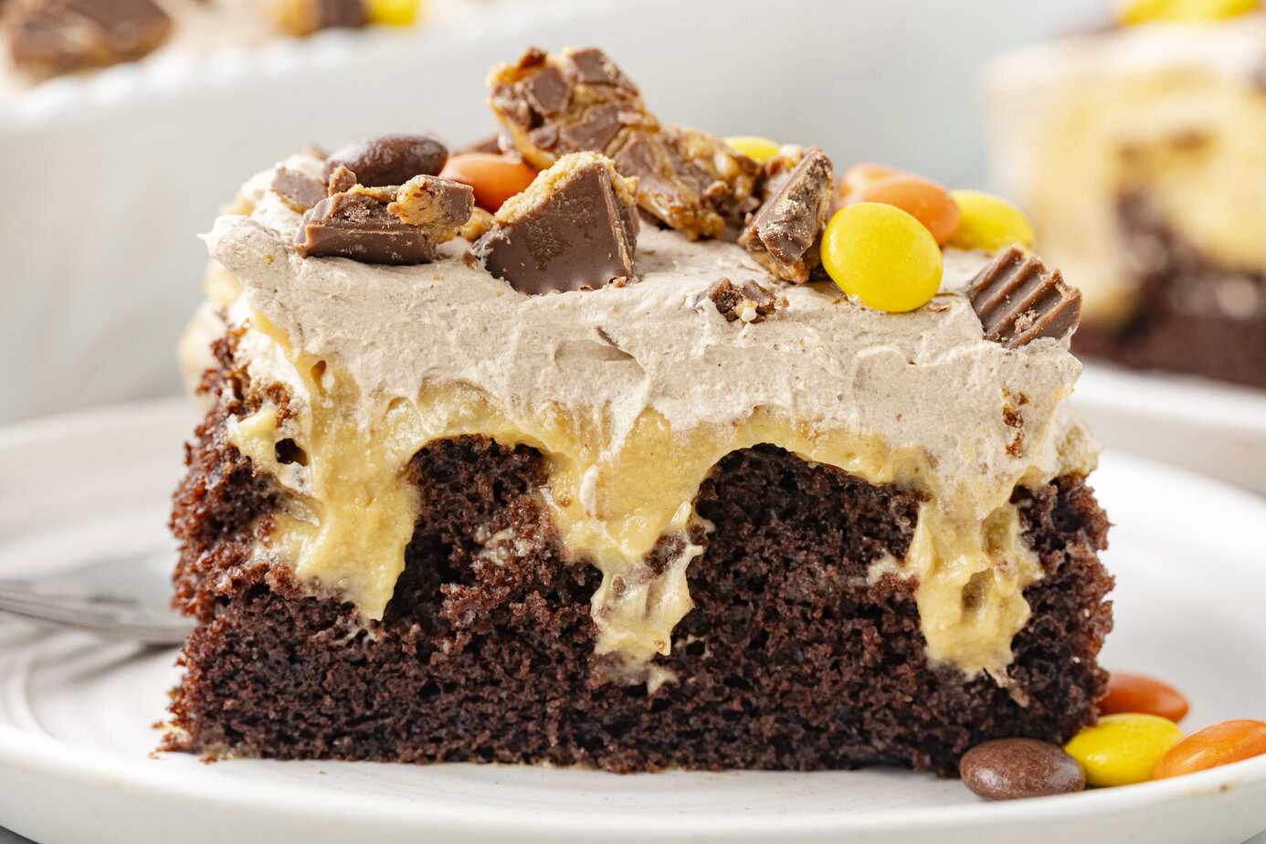 A slice of chocolate cake with creamy peanut butter filling, topped with whipped frosting and pieces of chocolate and candy-coated peanut butter candies.