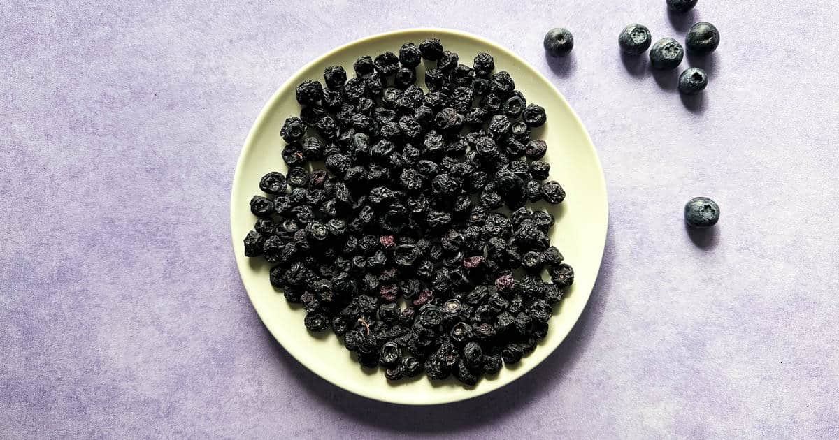 A white plate filled with dried blueberries sits on a purple surface, with a few fresh blueberries scattered nearby.