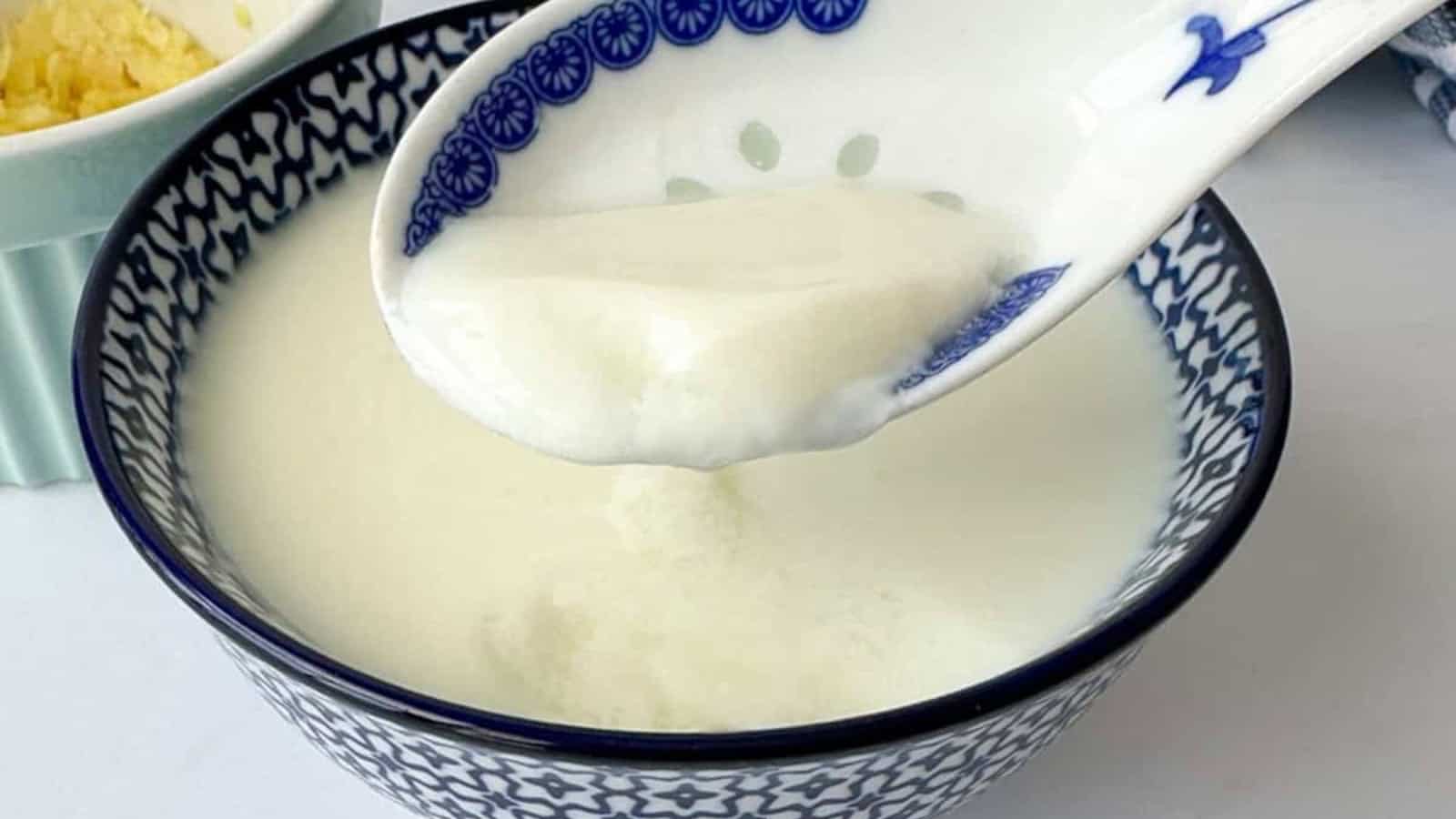 A patterned bowl filled with thick, white homemade yogurt, with a ceramic spoon lifting a spoonful from the bowl.