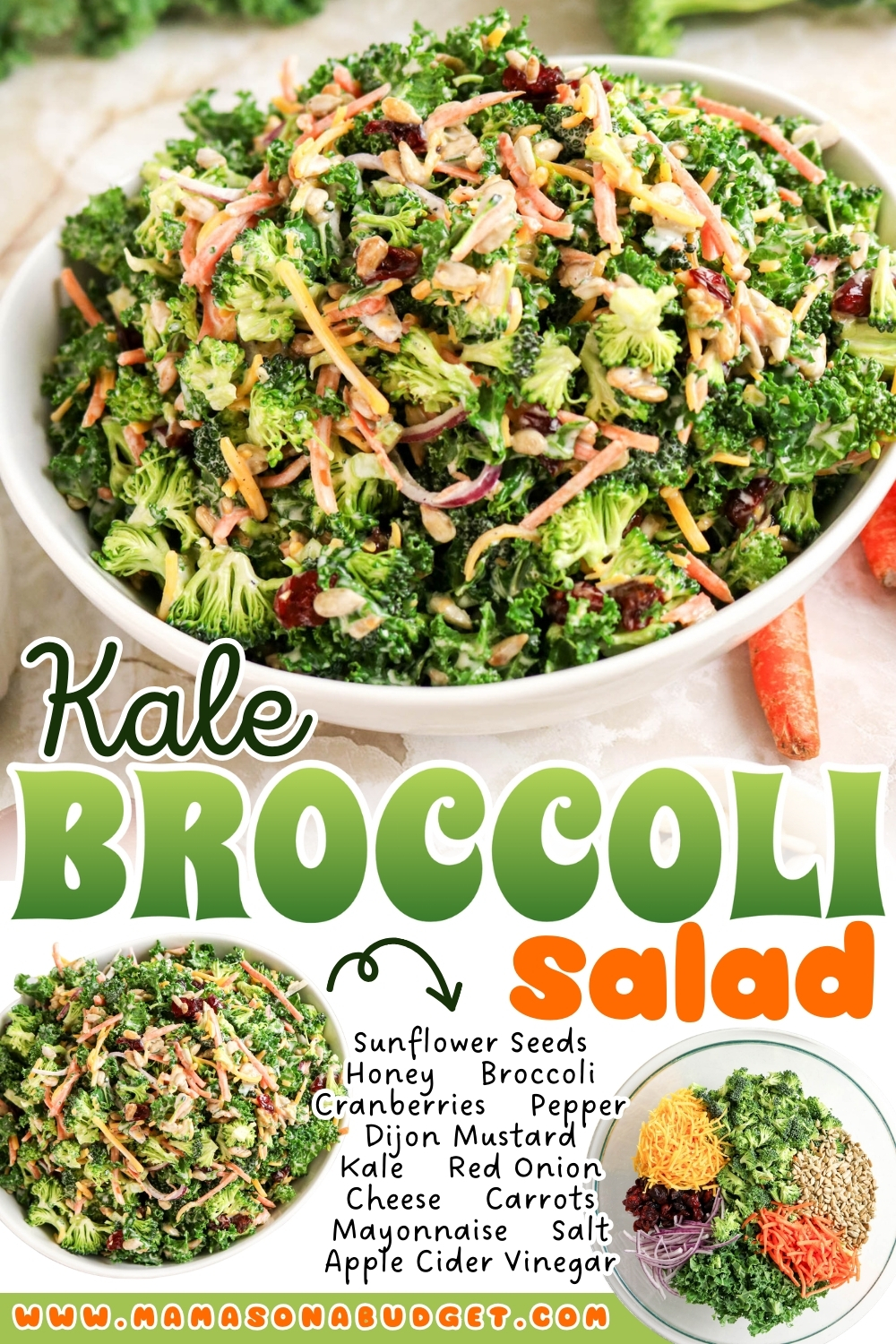 A bowl of kale and broccoli salad with visible sunflower seeds, carrots, cranberries, and red onion. Ingredients are listed beside the bowl on the image.