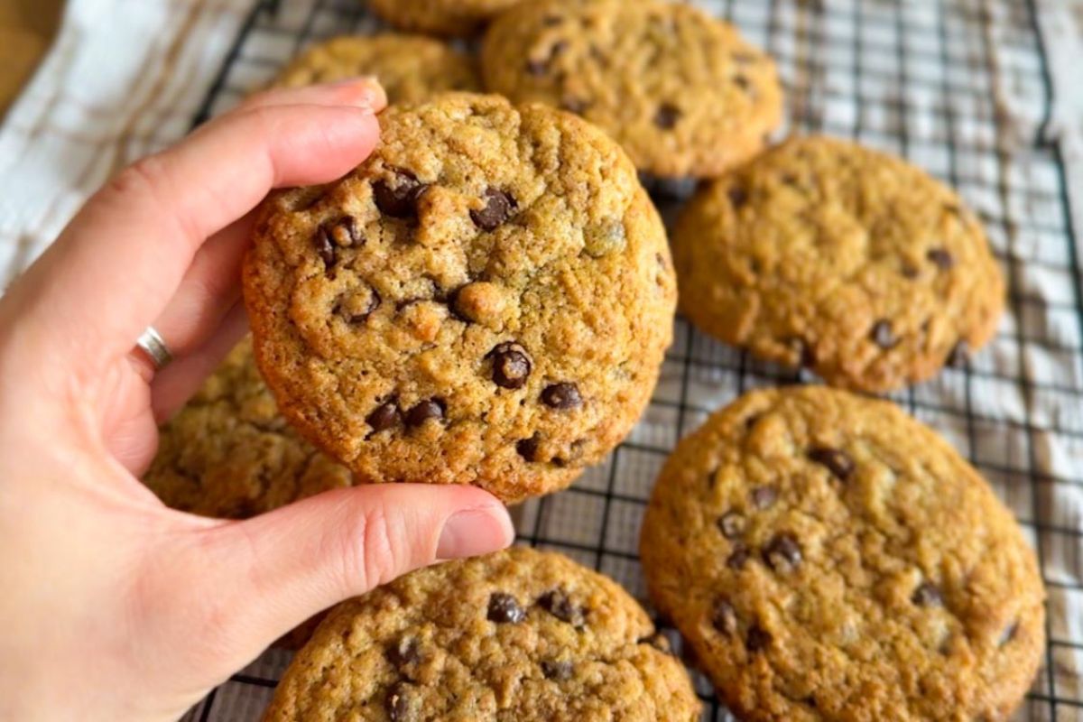 A hand holding a chocolate chip cookie above a cooling rack with several more cookies.
