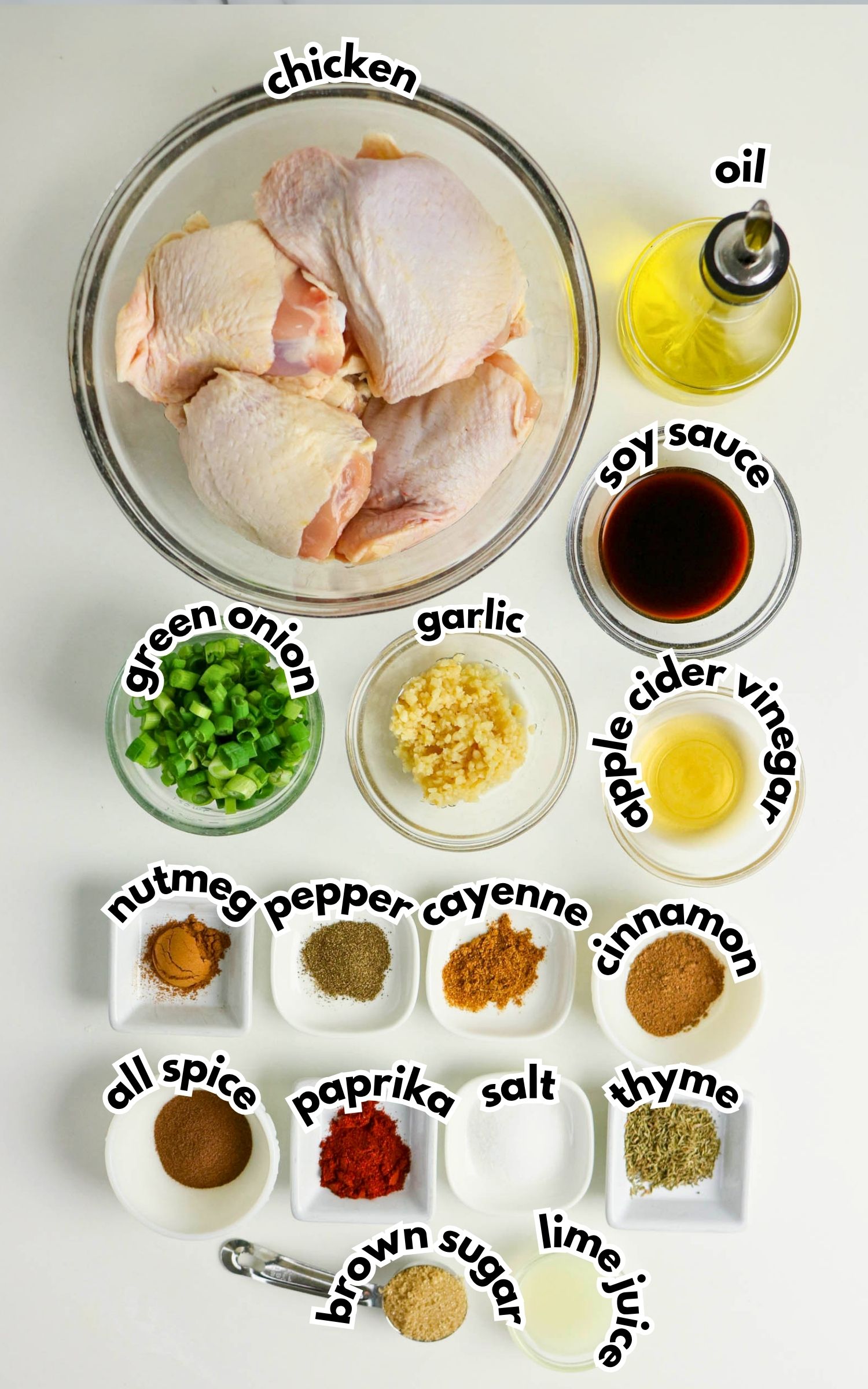 Top-down view of raw chicken, oil, soy sauce, apple cider vinegar, chopped green onion, minced garlic, and various labeled spices arranged on a white surface.
