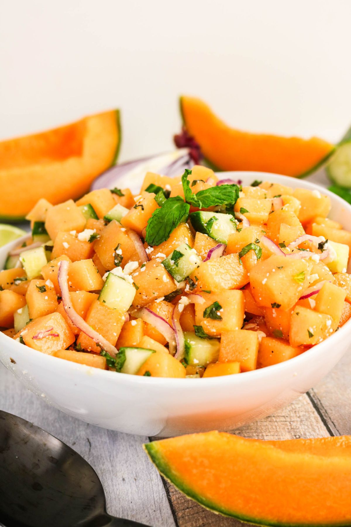 A white bowl filled with diced cantaloupe, cucumber, red onion, and herbs, garnished with mint, with cantaloupe slices in the background.