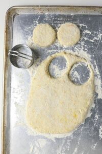 Biscuit dough on a floured baking sheet with two circles cut out and a round metal biscuit cutter nearby.