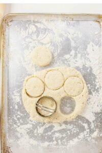 Biscuit dough on a floured baking sheet with four round biscuits cut out and a metal biscuit cutter beside the dough.