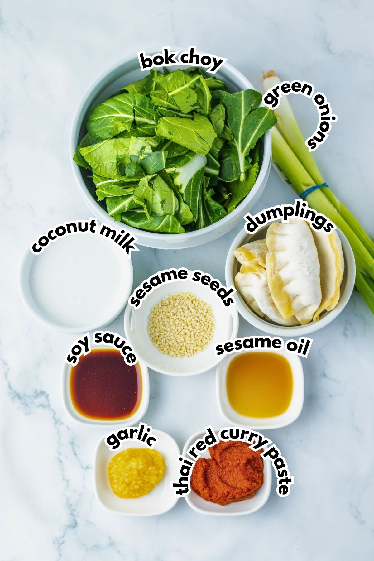 A bowl of bok choy, a green onion, dumplings, and small bowls of coconut milk, soy sauce, sesame seeds, sesame oil, garlic, and Thai red curry paste on a white surface.