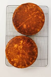 Two round, golden-brown cake layers cool on a metal wire rack against a white background.
