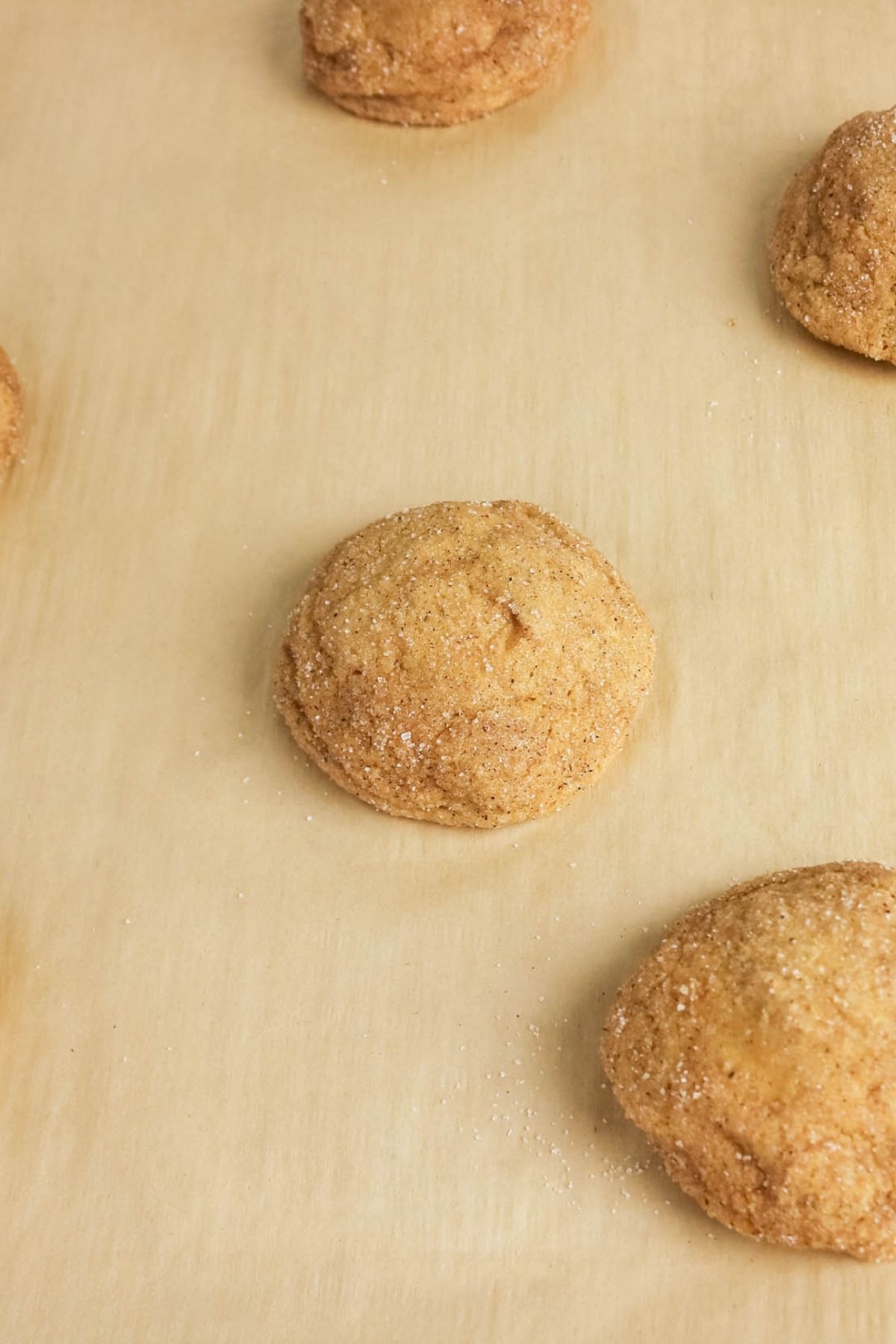 Four unbaked balls of cookie dough coated in cinnamon sugar are spaced apart on a sheet of parchment paper.